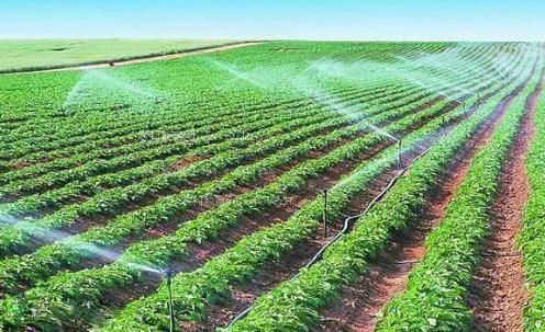 骚穴啊啊hwww在线免费农田高 效节水灌溉